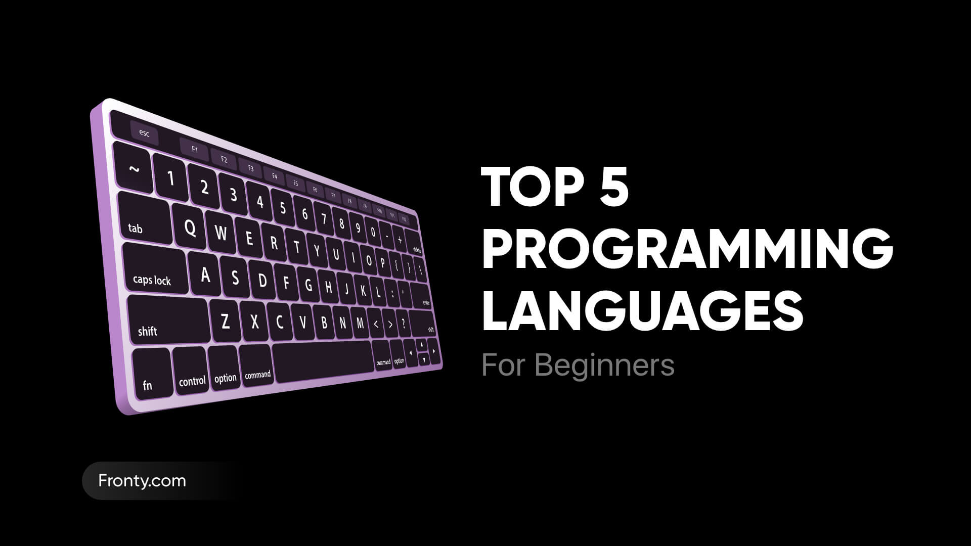 Top 5 Programming Languages for Beginners Fronty